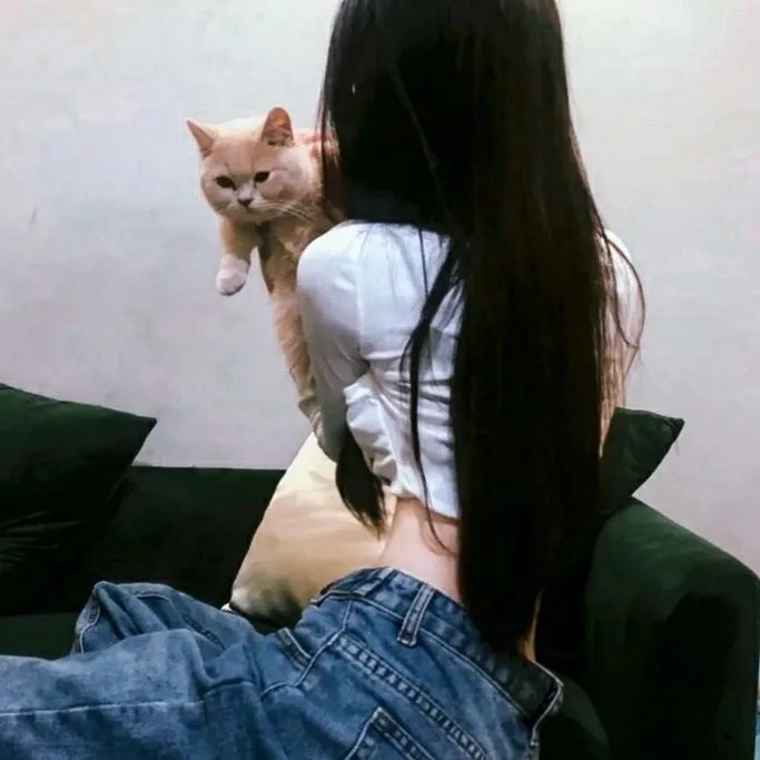 最爱2019